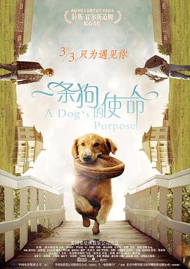 91精品久久久久久蜜桃