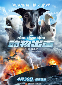 91专区在线观看