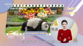 亚洲午夜一区二区三区
